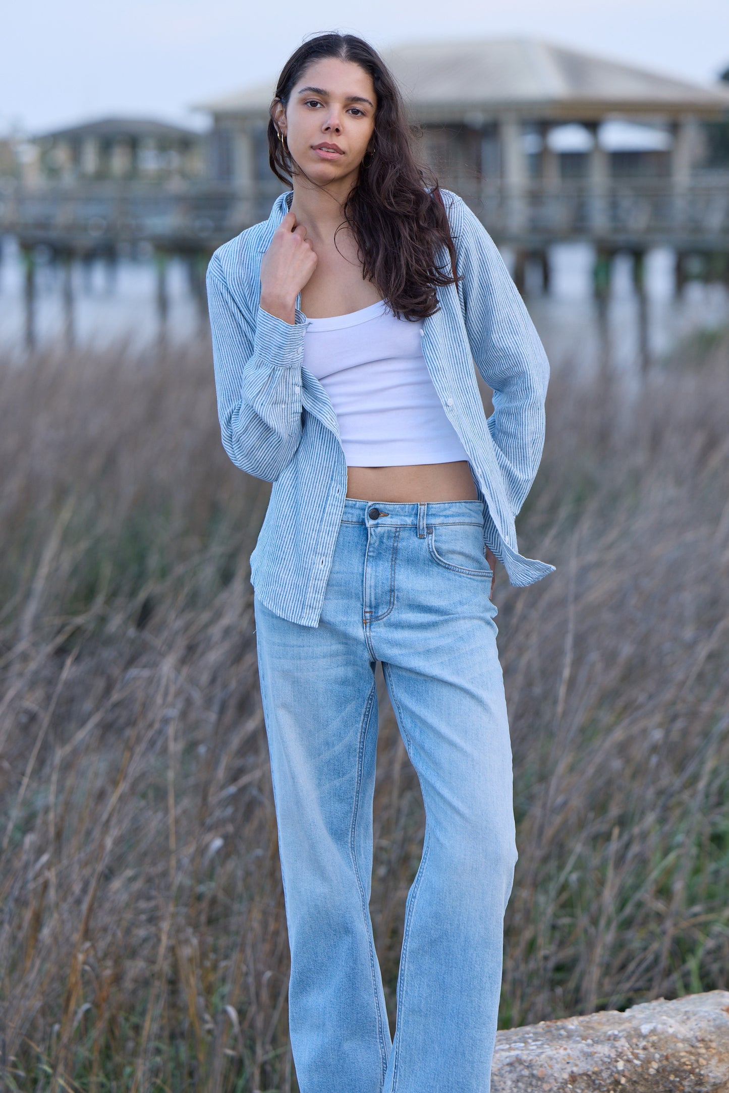 Pia Linen Chambray Blue Stripe Shirt 308