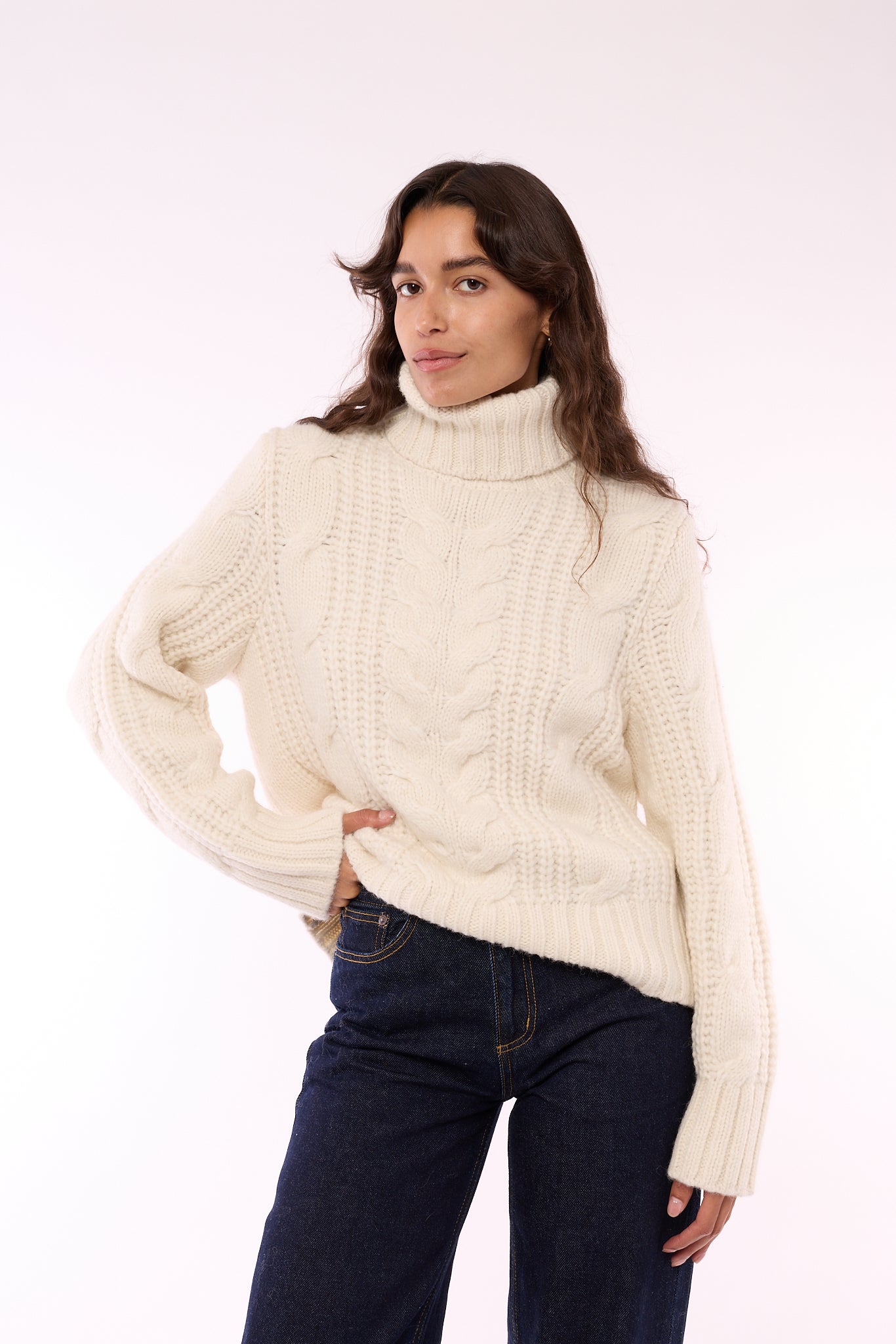 Diana Baby Alpaca Turtleneck - 606