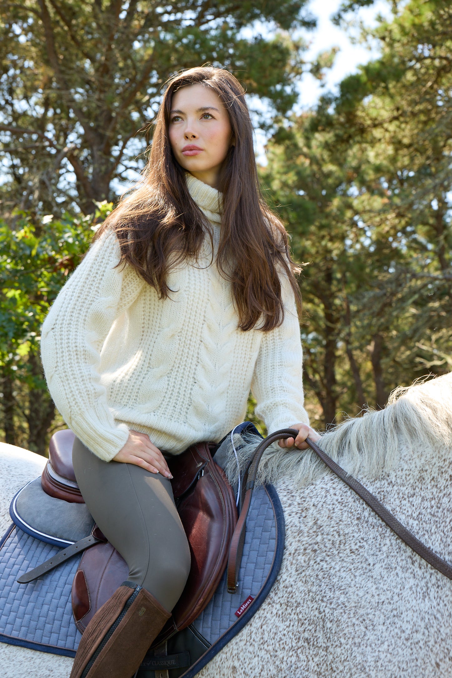 Diana Baby Alpaca Turtleneck - 606