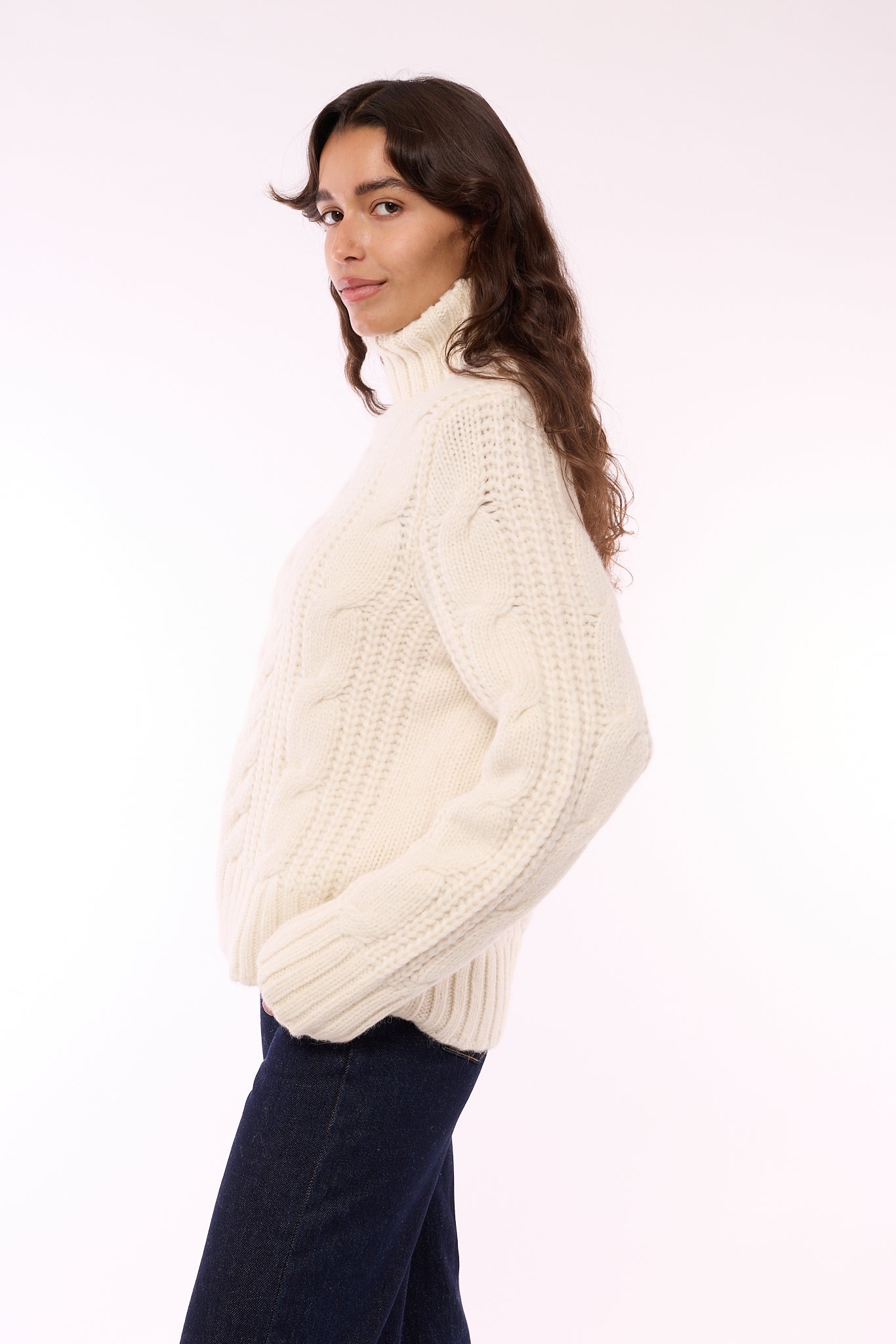 Diana Baby Alpaca Turtleneck - 606